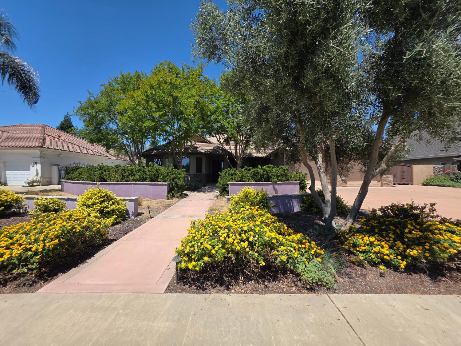 1072 Rorden Avenue Selma, CA 93662 - Photo 1 of 40 a view of a garden with flowers and trees