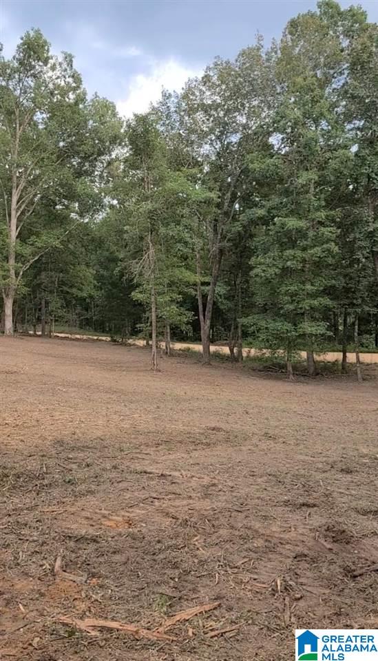 1363 Alston Farm Road, Unit 1 Columbiana, AL 35051 - Photo 2 of 4