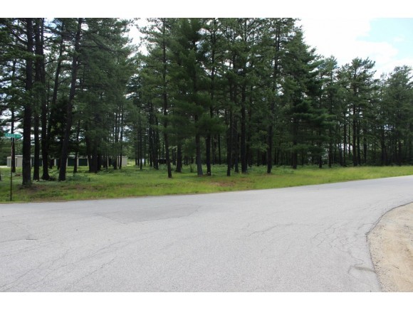 Lot 25 Ossipee Lake Road Tamworth, NH 03886 - Photo 7 of 7 Gallery Image 7