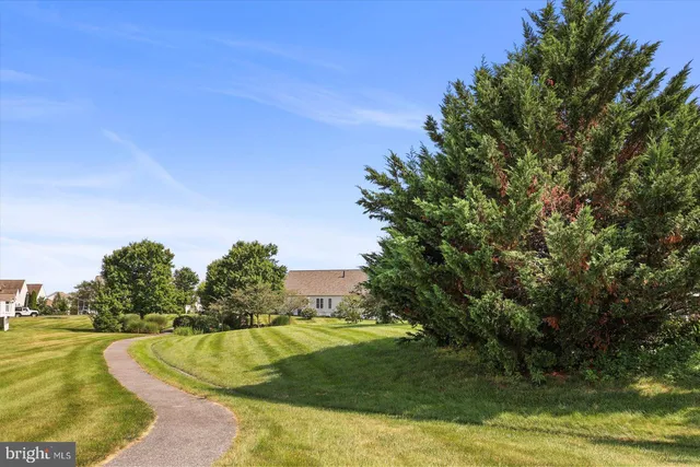 a view of a swimming pool with a yard