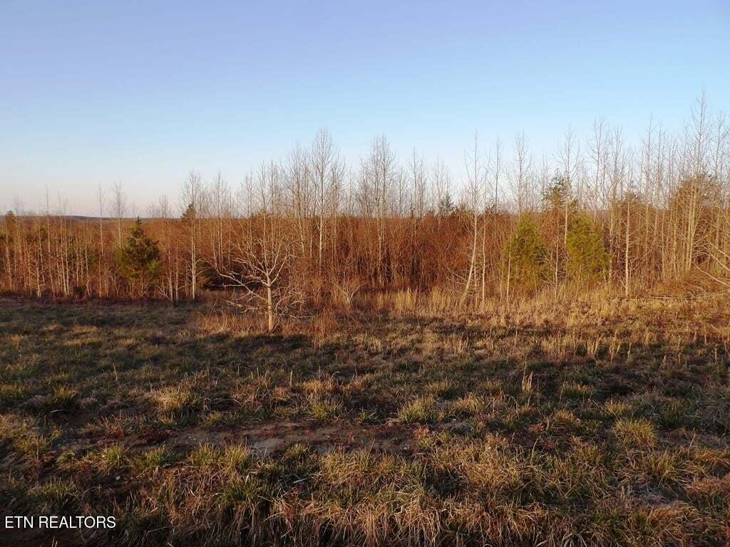 6 Tower Road Grandview, TN 37337 - Photo 4 of 5 Gallery Image 4