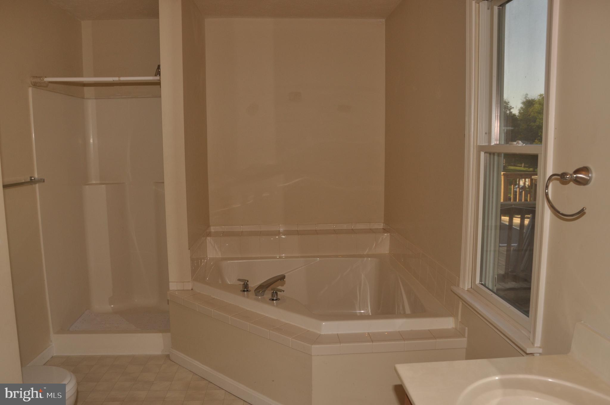 92 River Bend Road Kearneysville, WV 25430 - Photo 19 of 27 Master Bath