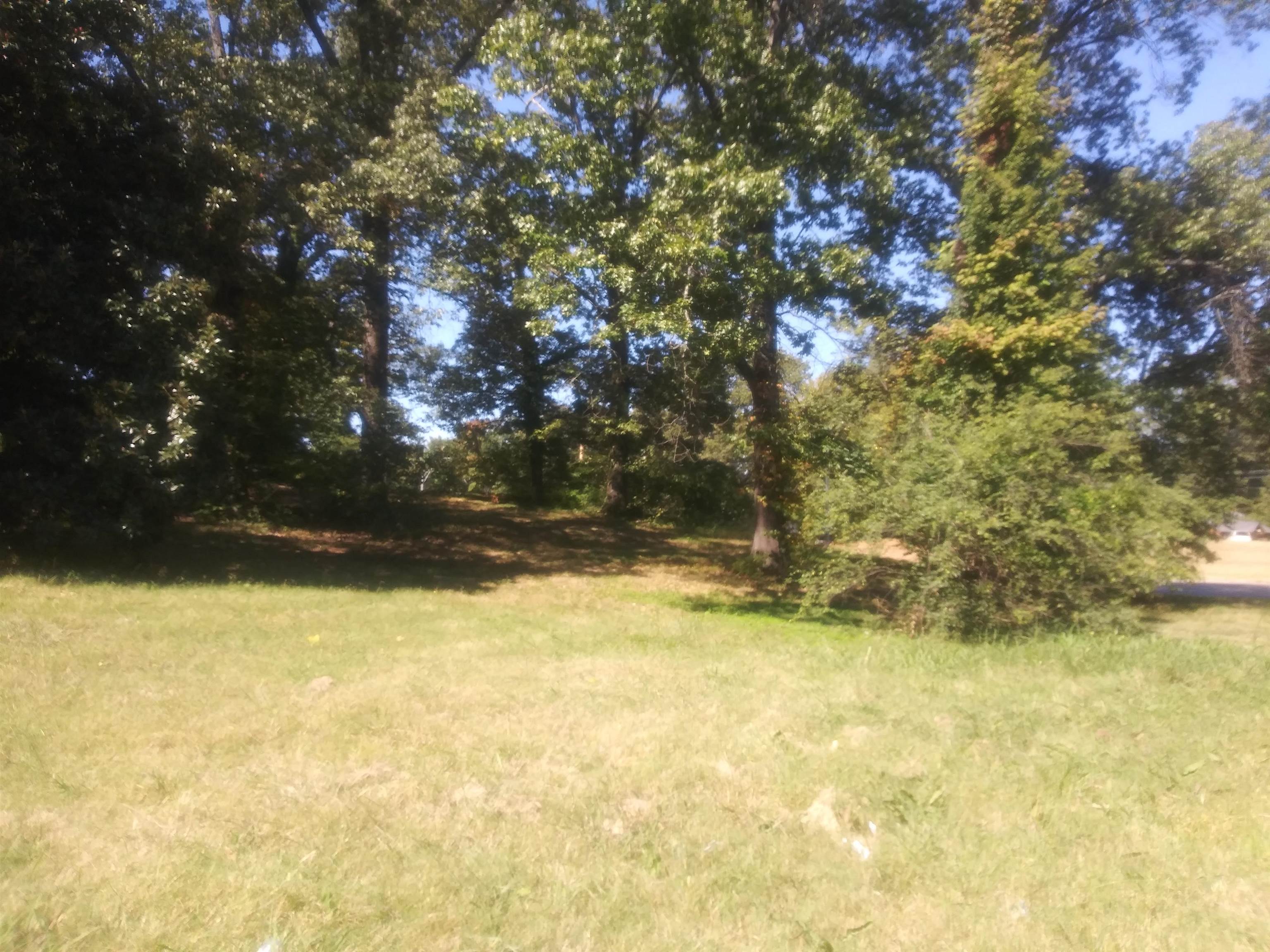 a view of yard with tree