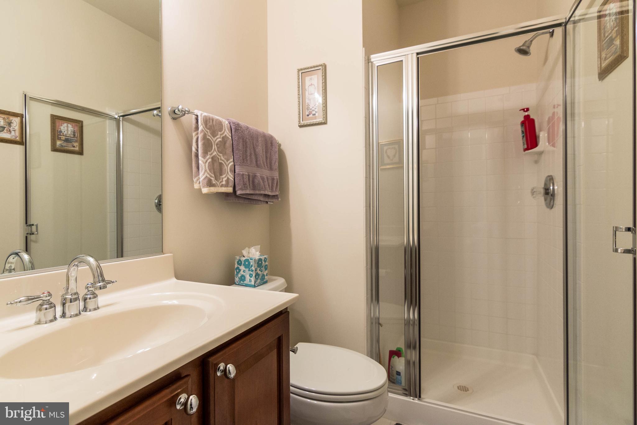 8316 Academy Road Ellicott City, MD 21043 - Photo 25 of 30 Basement full bath!