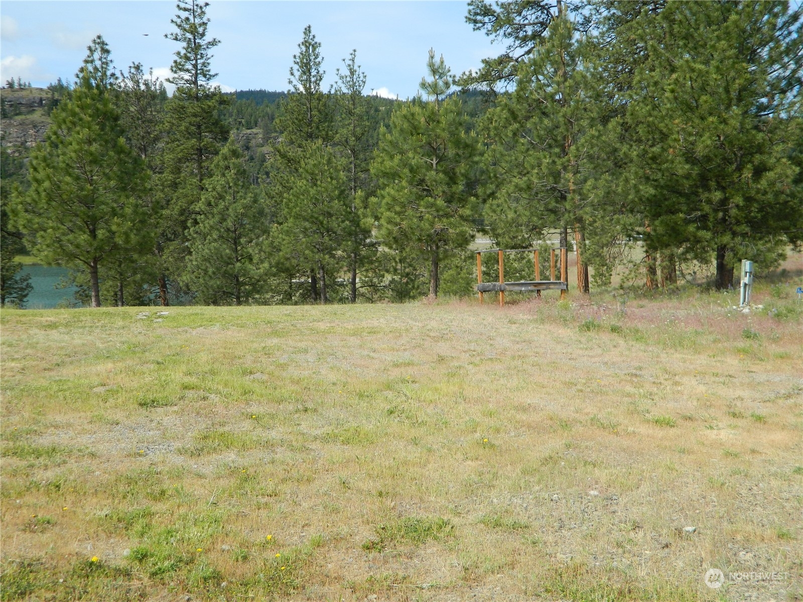 16 King Road Tonasket, WA 98855 - Photo 11 of 34 a view of trees with a yard