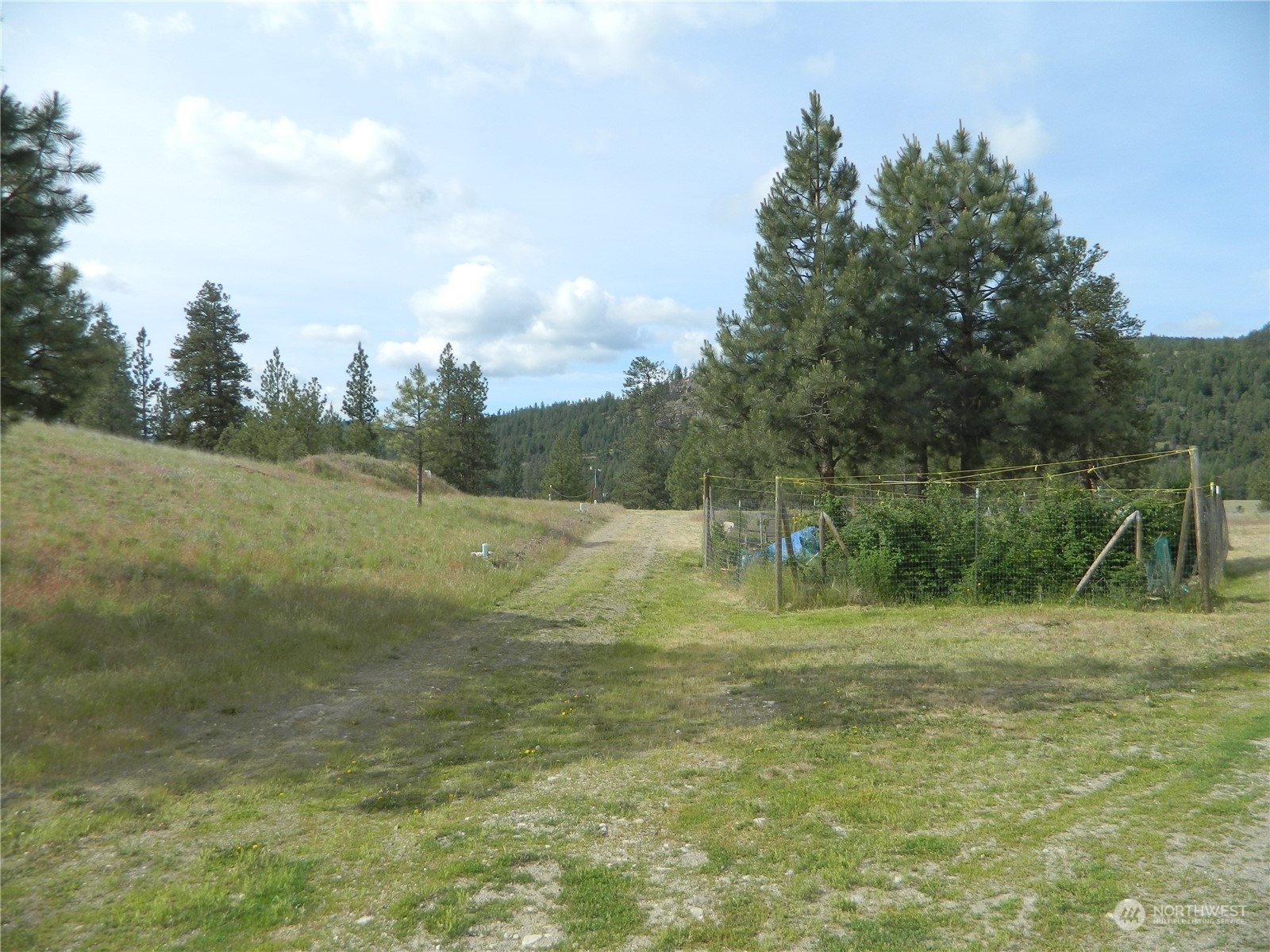 16 King Road Tonasket, WA 98855 - Photo 12 of 34