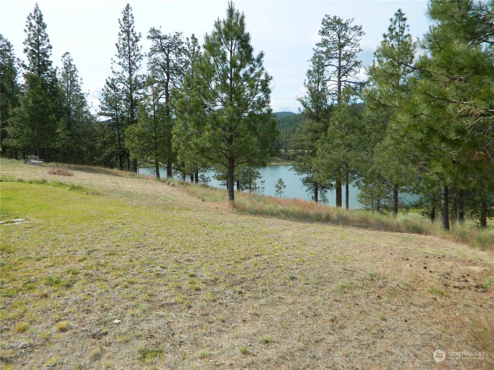 16 King Road Tonasket, WA 98855 - Photo 8 of 34 a view of a yard with trees