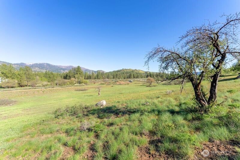 3 Northcott Road Winthrop, WA 98862 - Photo 6 of 34 Gallery Image 6