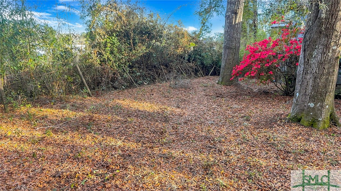 1060 North Green Street Ridgeland, SC 29936 - Photo 9 of 19 Gallery Image 9