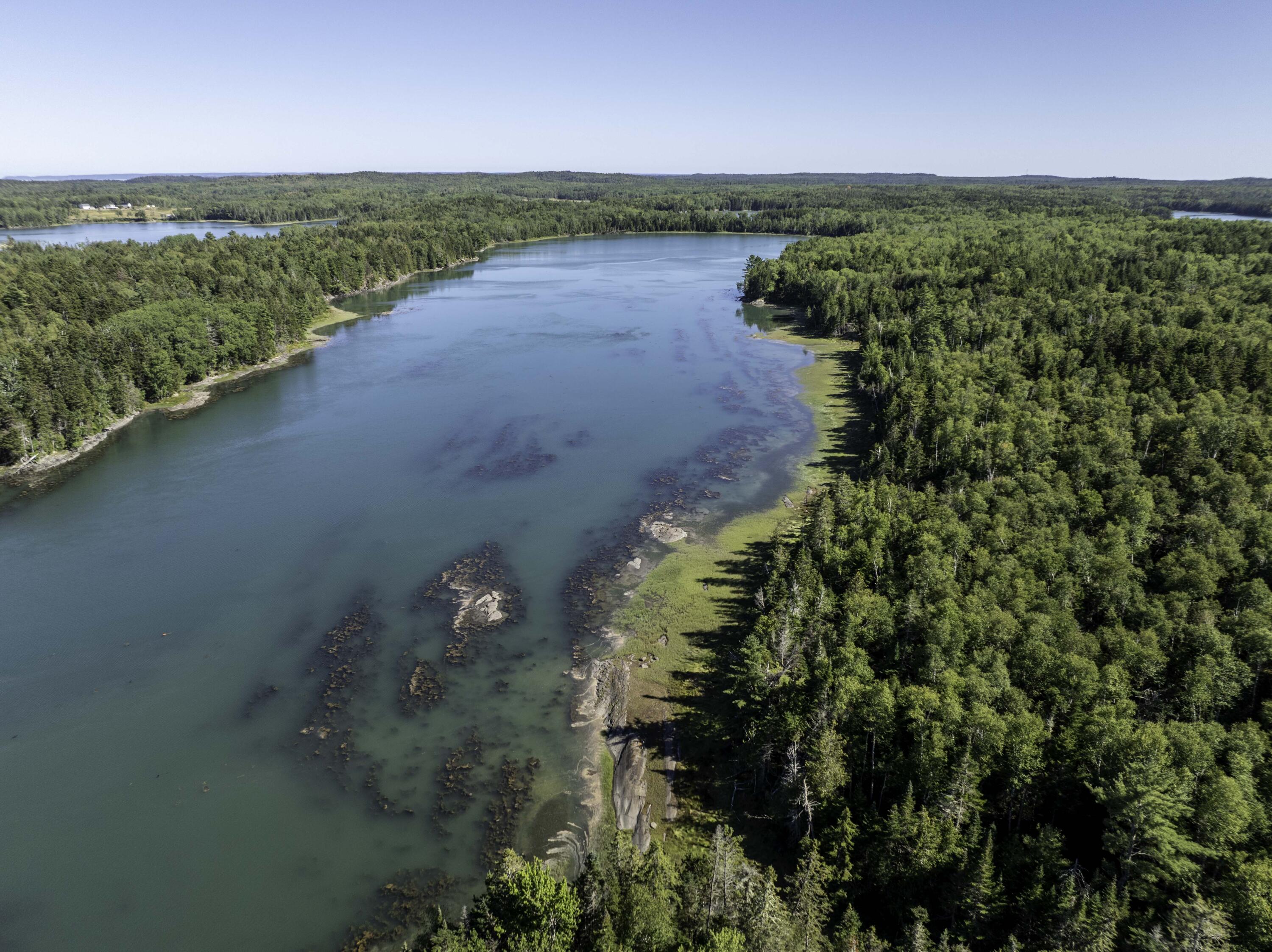 Lot 48 Coffins Neck Road Lubec, ME 04652 - Photo 7 of 7 Lot 48