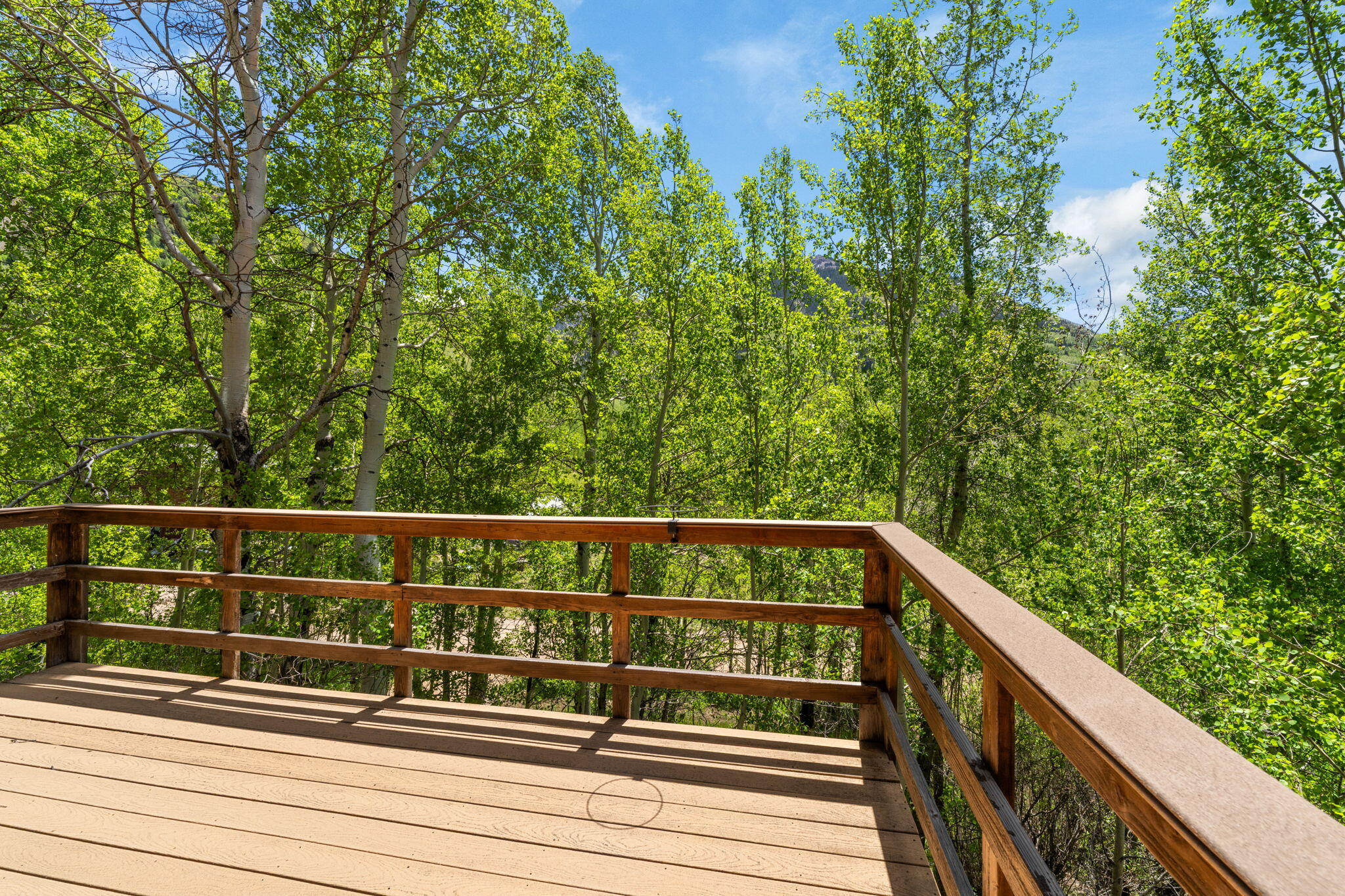 313 North Piedmont Street Rico, CO 81332 - Photo 32 of 43 a view of balcony with deck and yard