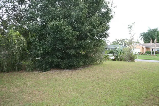 a view of a yard with a tree