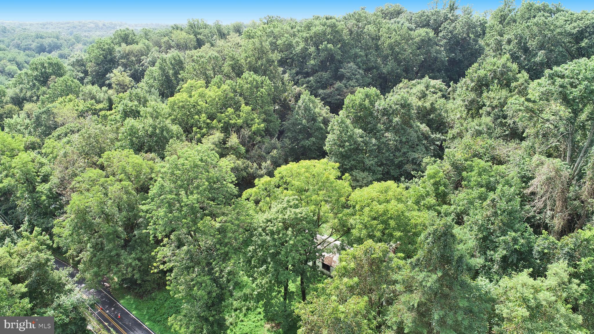147 Rowlandsville Road Conowingo, MD 21918 - Photo 13 of 13 Gallery Image 13