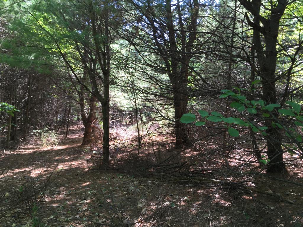 0 Meredith Neck Road, Unit LOT 2 Meredith, NH 03253 - Photo 11 of 22