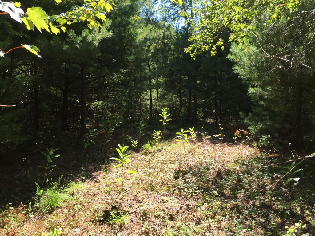 0 Meredith Neck Road, Unit LOT 2 Meredith, NH 03253 - Photo 13 of 22