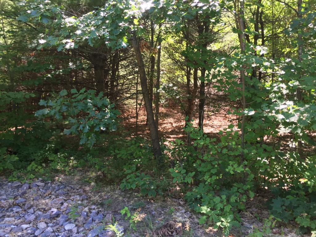 0 Meredith Neck Road, Unit LOT 2 Meredith, NH 03253 - Photo 15 of 22