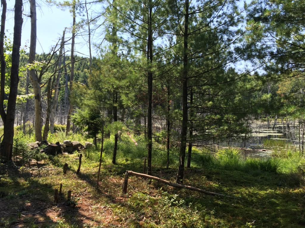 0 Meredith Neck Road, Unit LOT 2 Meredith, NH 03253 - Photo 17 of 22