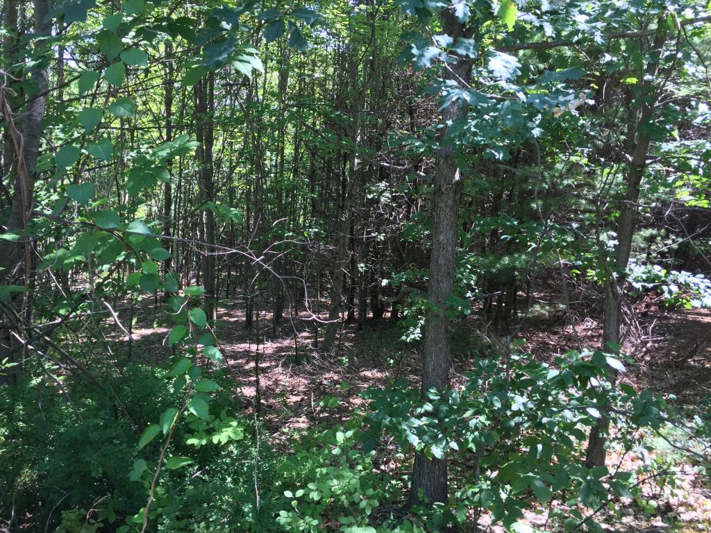 0 Meredith Neck Road, Unit LOT 2 Meredith, NH 03253 - Photo 20 of 22
