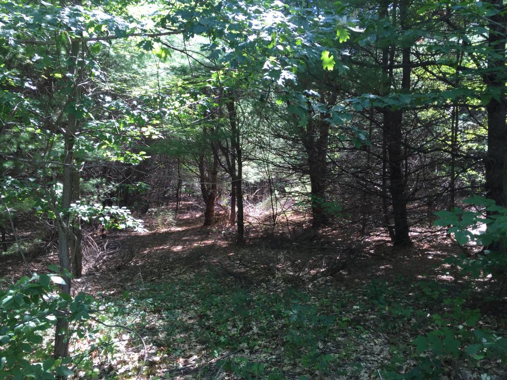 0 Meredith Neck Road, Unit LOT 2 Meredith, NH 03253 - Photo 21 of 22