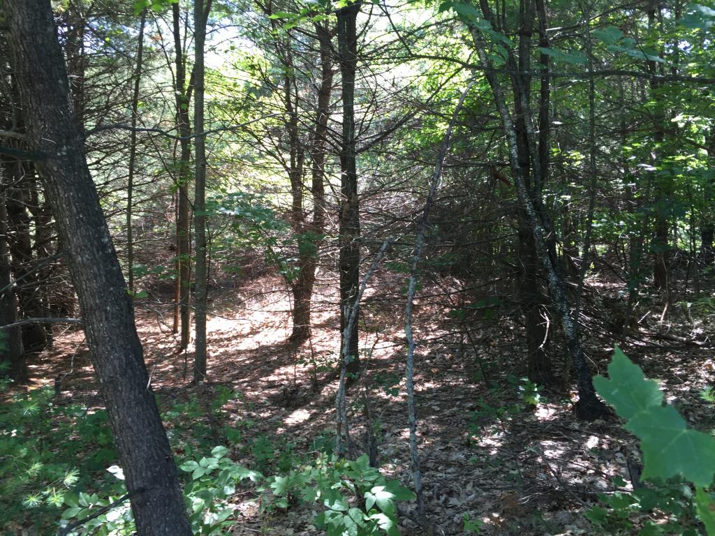 0 Meredith Neck Road, Unit LOT 2 Meredith, NH 03253 - Photo 22 of 22