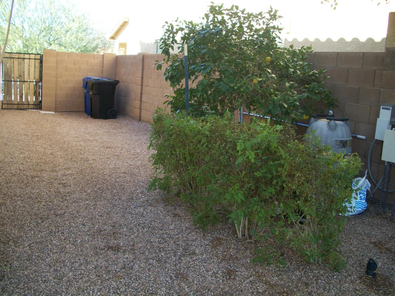 6631 South Classic Way Gilbert, AZ 85298 - Photo 37 of 40 Side yard to the right