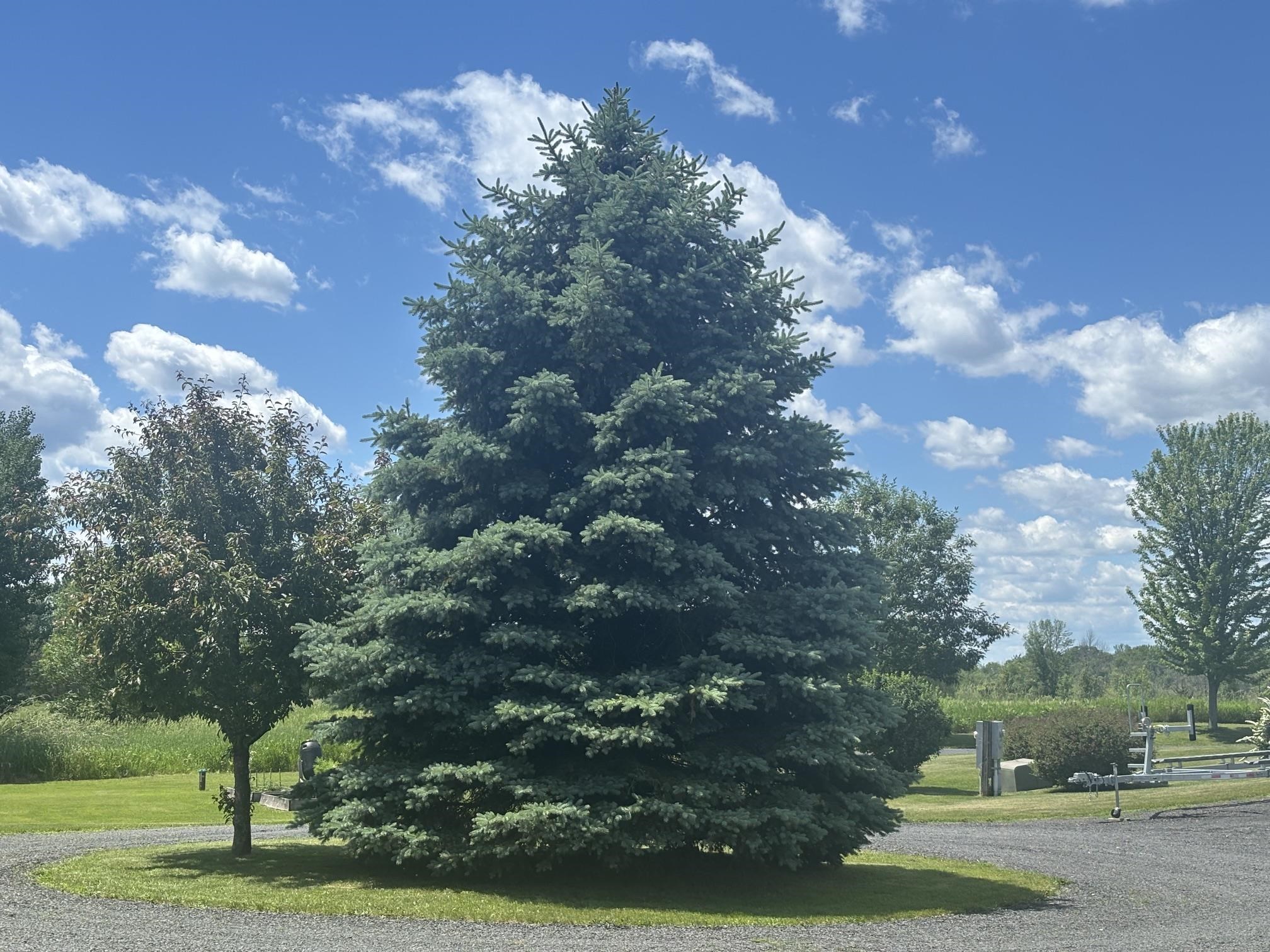390 Wagner Point Road Alburgh, VT 05440 - Photo 24 of 55