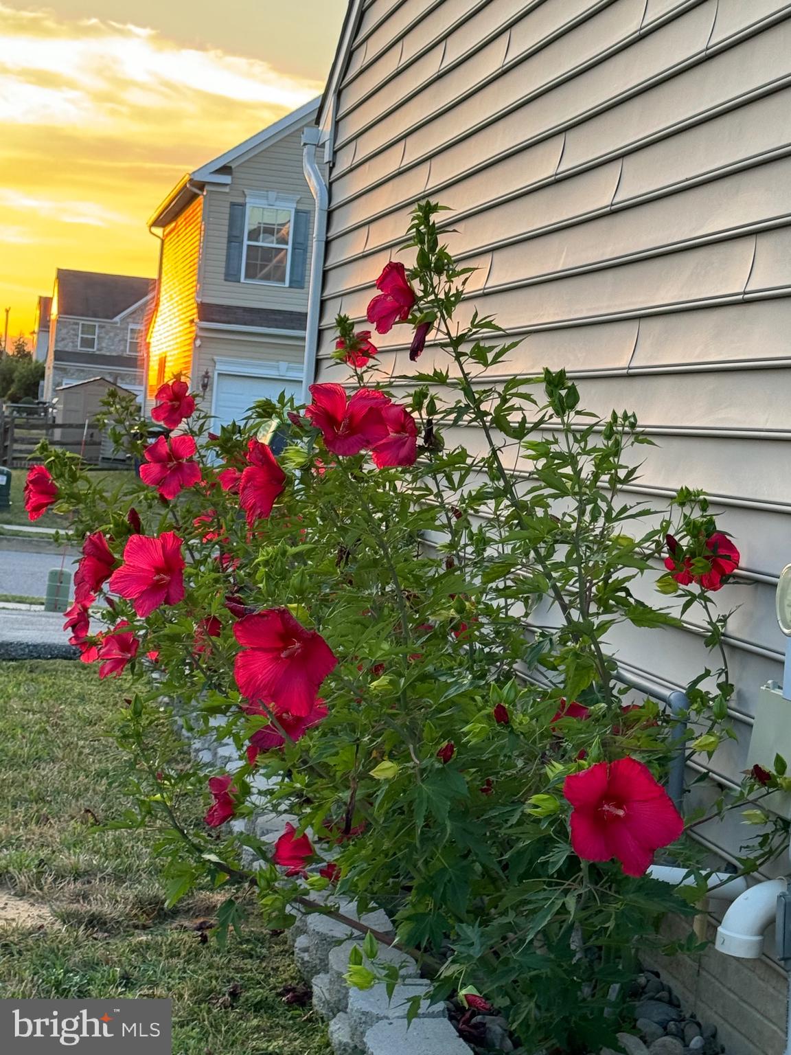 83 Zelkova Road Smyrna, DE 19977 - Photo 107 of 117