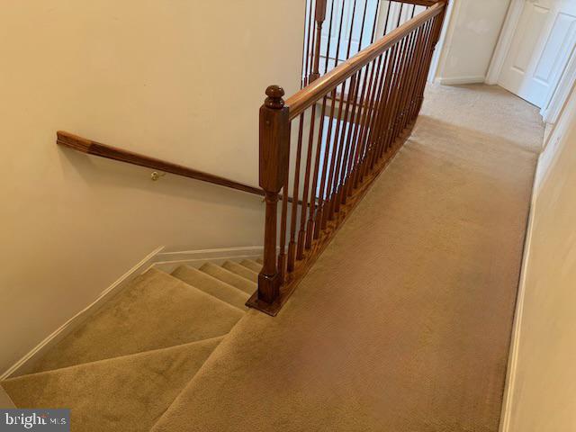 83 Zelkova Road Smyrna, DE 19977 - Photo 27 of 117
