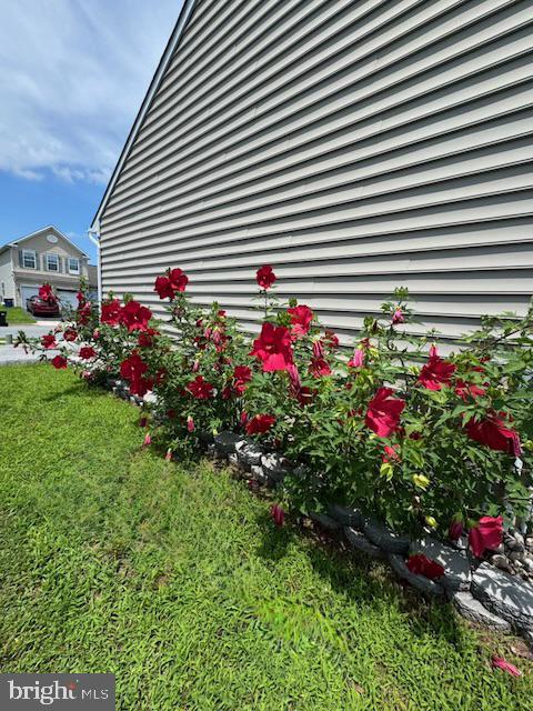 83 Zelkova Road Smyrna, DE 19977 - Photo 4 of 117
