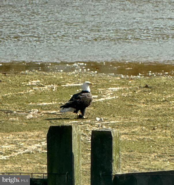 83 Zelkova Road Smyrna, DE 19977 - Photo 81 of 117