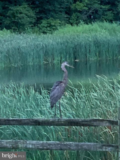 83 Zelkova Road Smyrna, DE 19977 - Photo 88 of 117