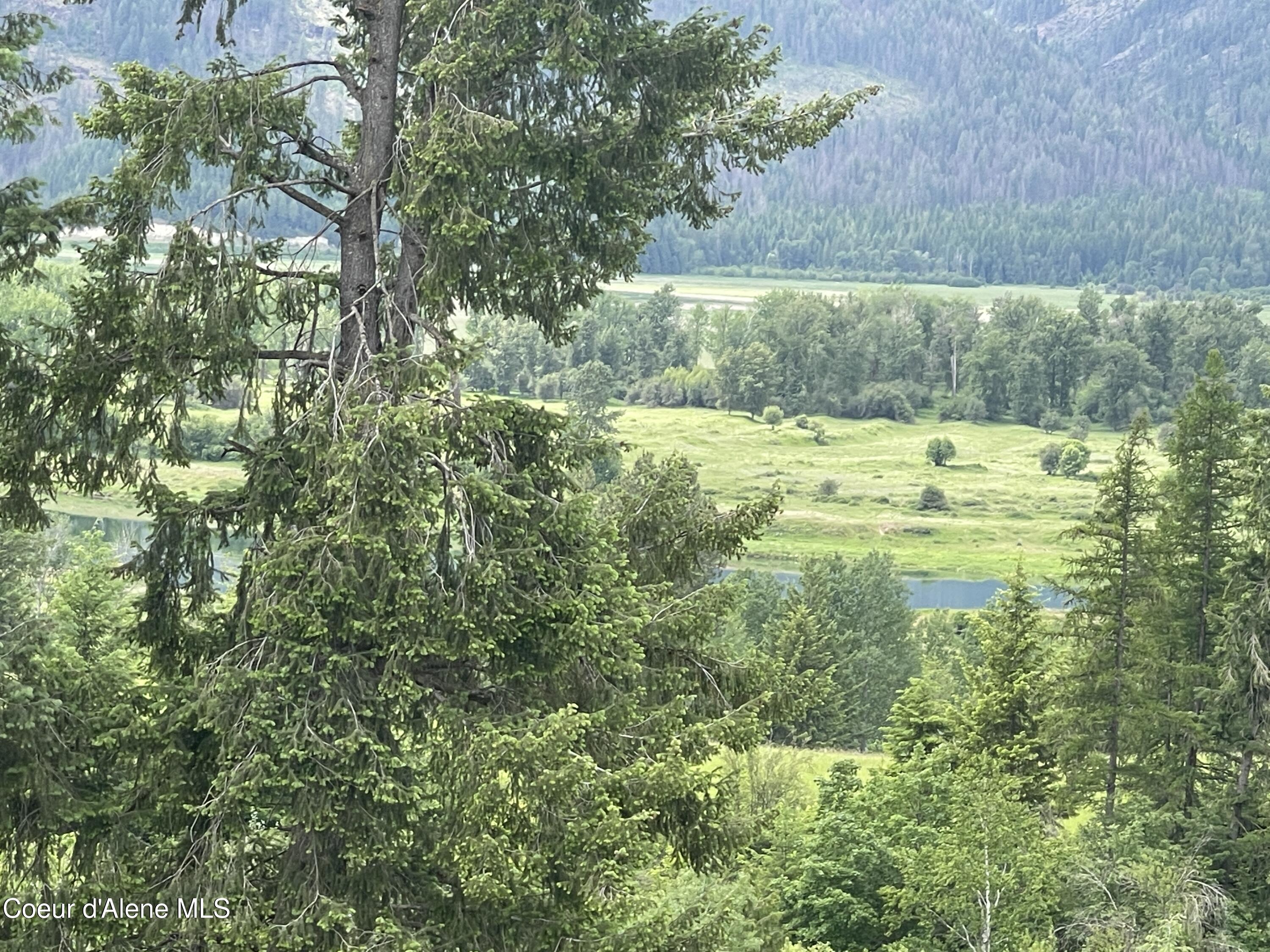 2447 Turner Hill Road Bonners Ferry, ID 83805 - Photo 63 of 108 IMG_2796