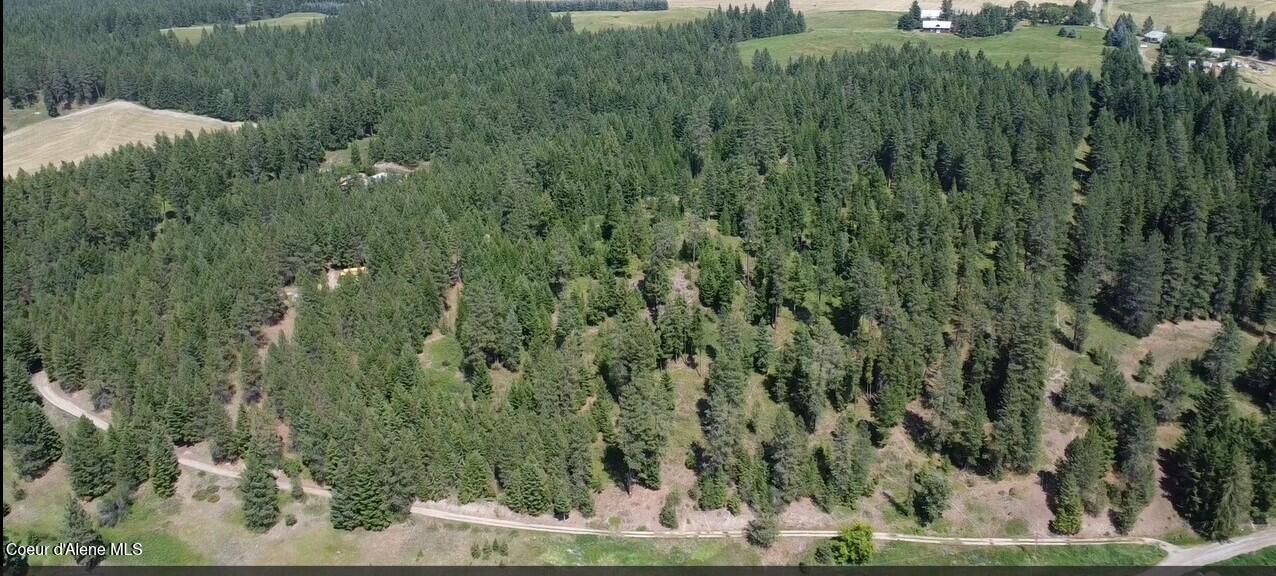2447 Turner Hill Road Bonners Ferry, ID 83805 - Photo 65 of 108 Drone still 5