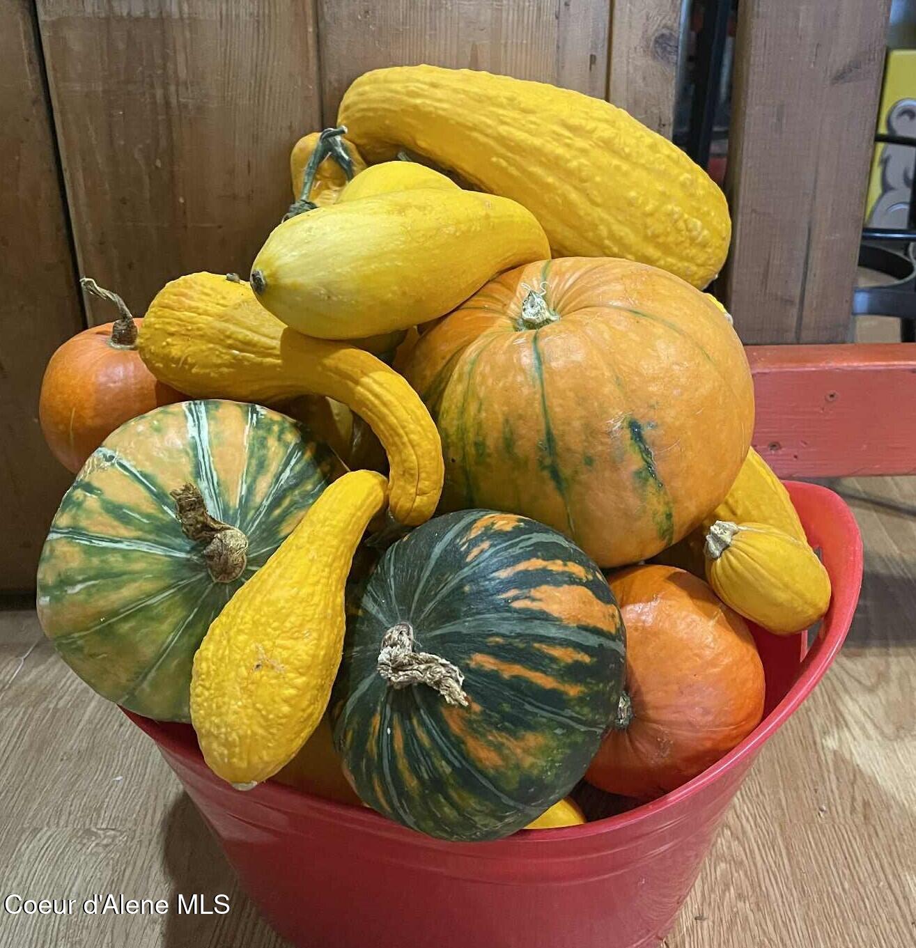 2447 Turner Hill Road Bonners Ferry, ID 83805 - Photo 98 of 108 squashes