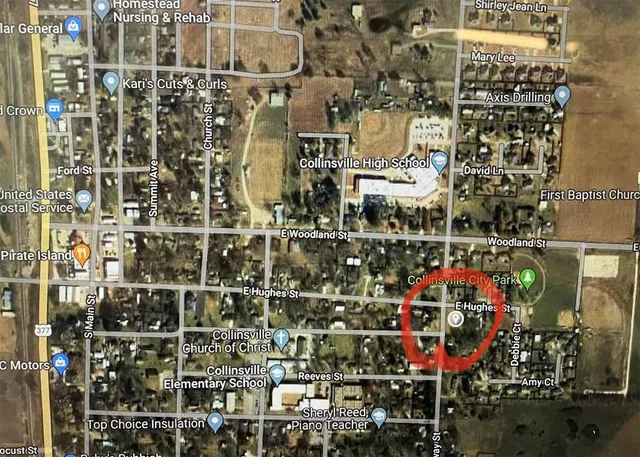 a view of city with the shops and flowers