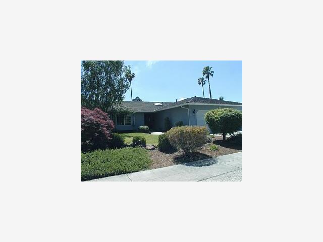 6859 Almaden Road San Jose, CA 95120 - Photo 1 of 9 a picture of a person on a street