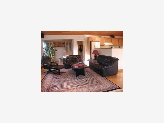6859 Almaden Road San Jose, CA 95120 - Photo 5 of 9 a living room with furniture and a large window