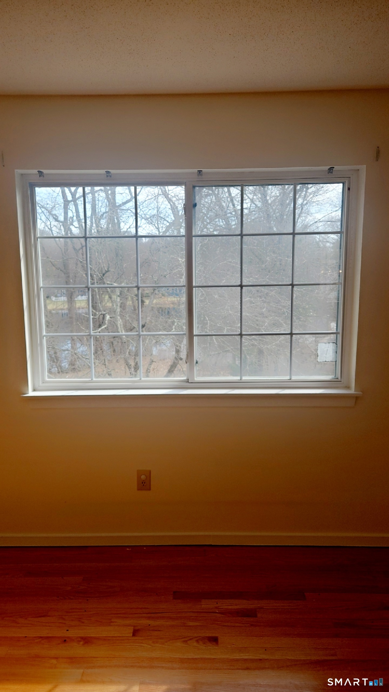 20 Apple Way Madison, CT 06443 - Photo 17 of 38