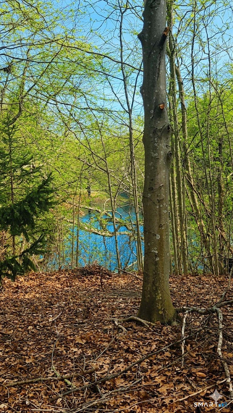 20 Apple Way Madison, CT 06443 - Photo 34 of 38