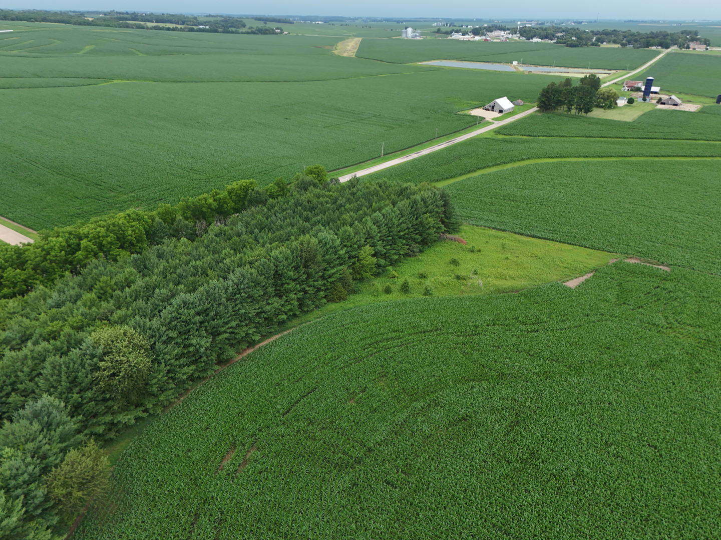 4149 School Road Chadwick, IL 61014 - Photo 50 of 50
