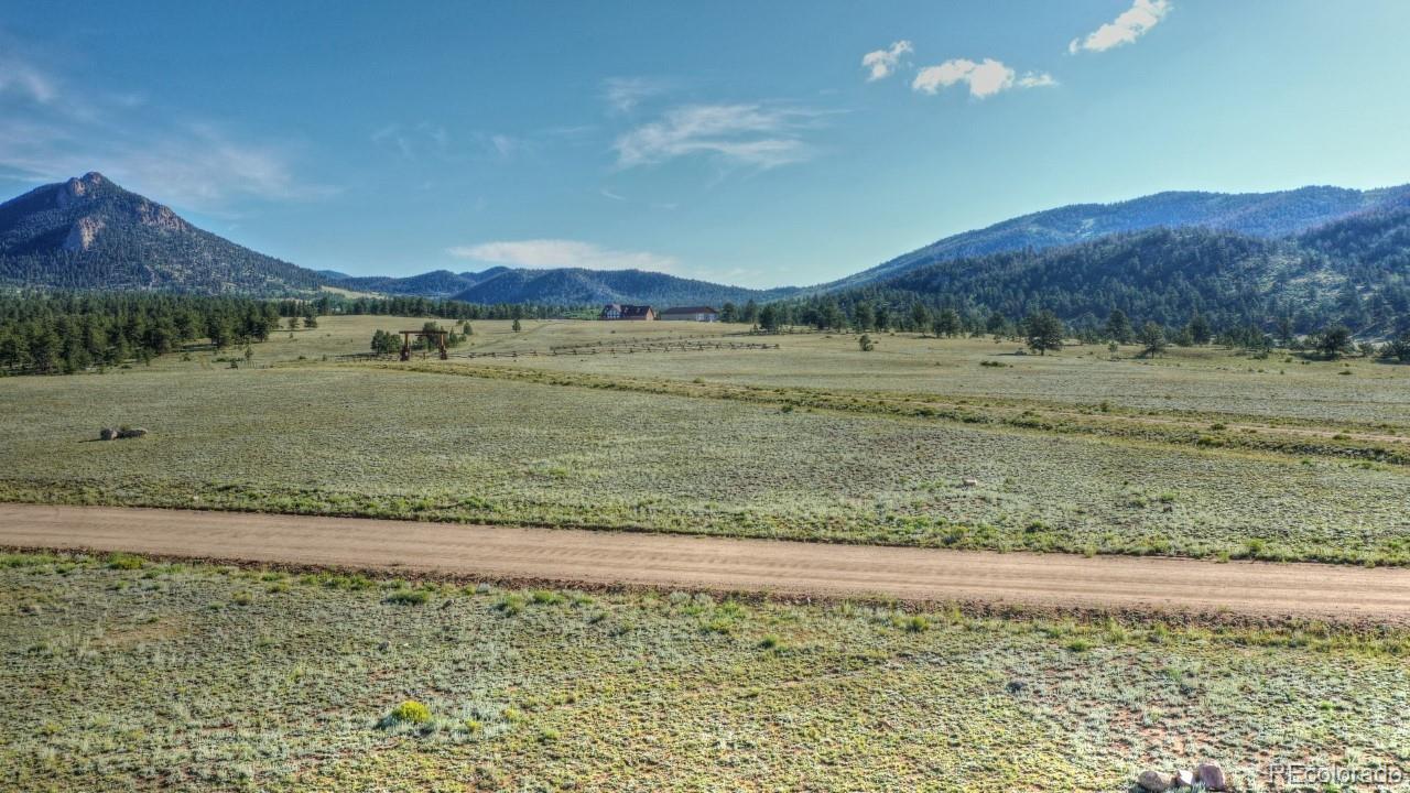 11937 Jackson Road Lake George, CO 80827 - Photo 19 of 22 a view of a yard next to a yard