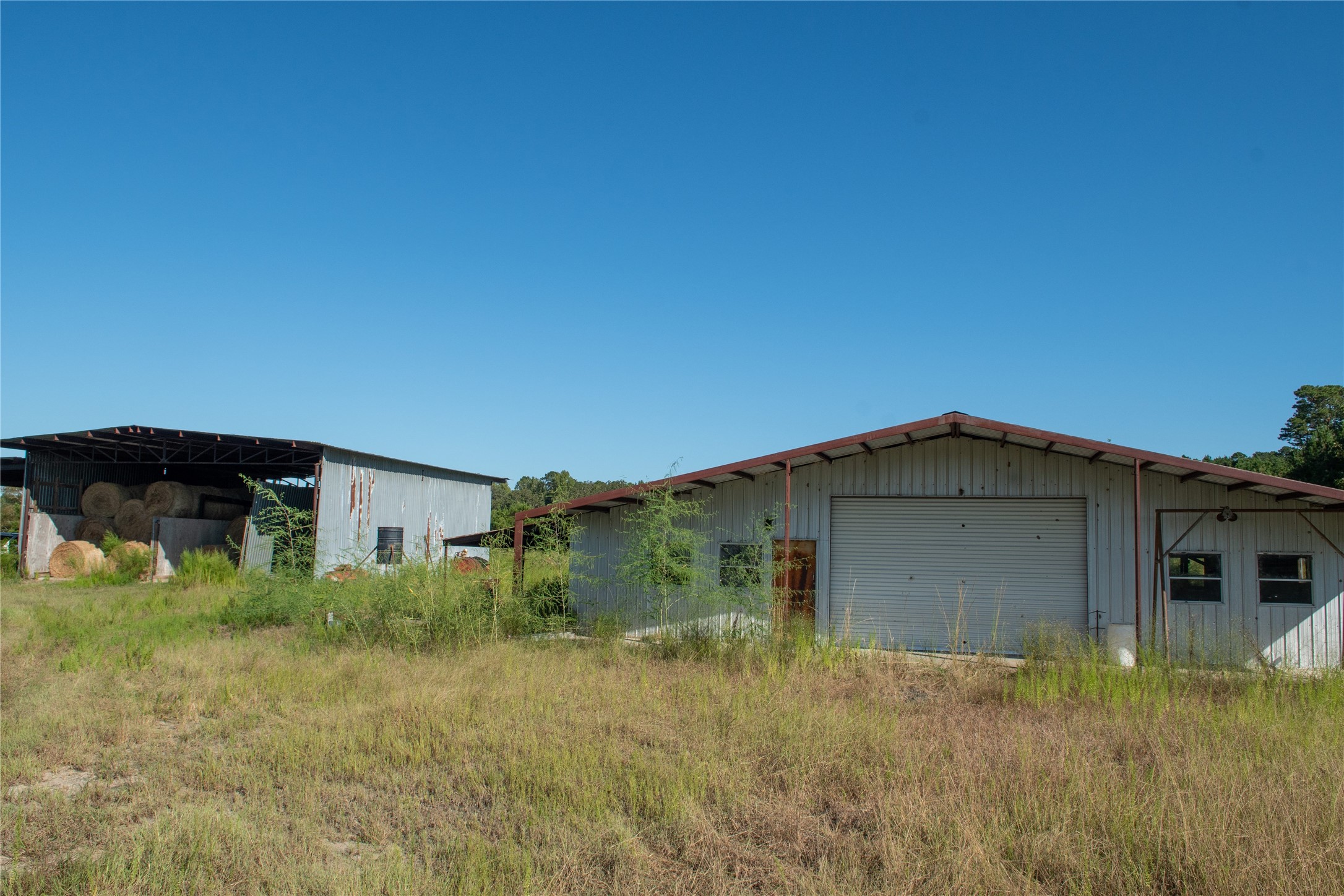 2792 Forest Hopson Road Zavalla, TX 75980 - Photo 18 of 31 a view of front of house with a yard
