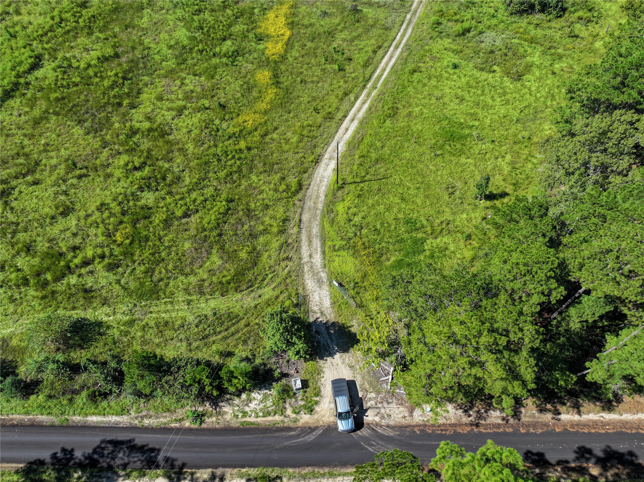 2792 Forest Hopson Road Zavalla, TX 75980 - Photo 19 of 31 a view of a yard with plants