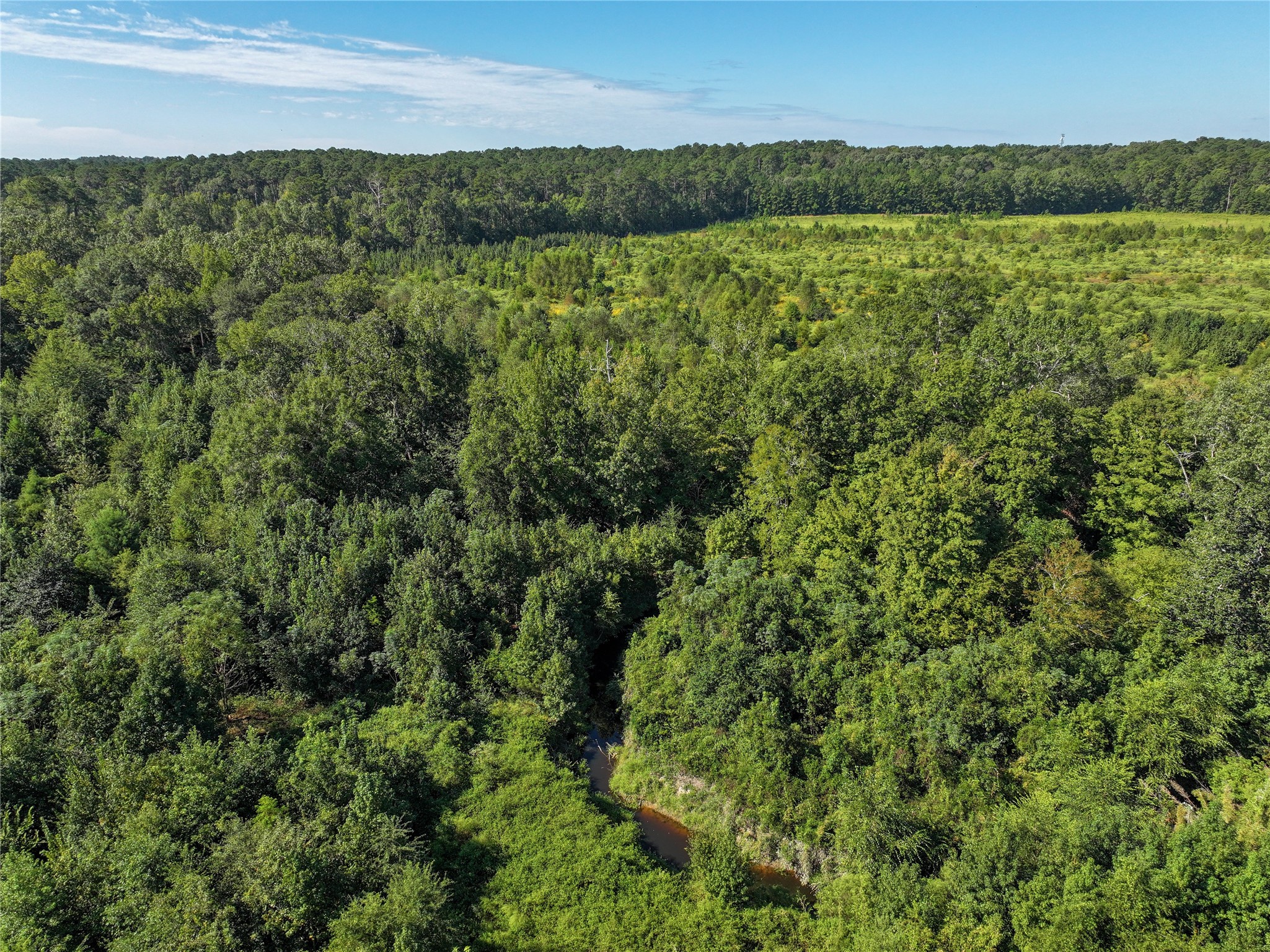 2792 Forest Hopson Road Zavalla, TX 75980 - Photo 20 of 31 a view of lake and mountain view