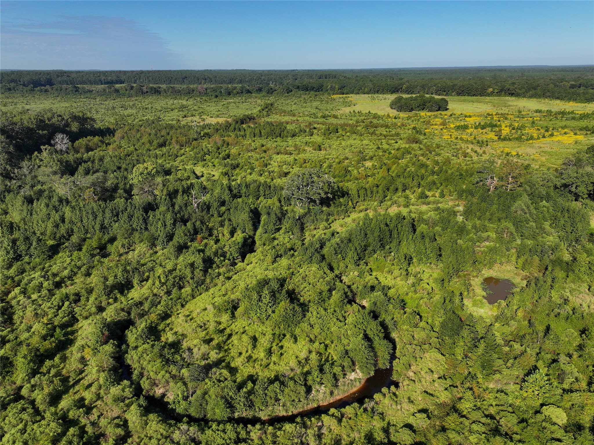 2792 Forest Hopson Road Zavalla, TX 75980 - Photo 2 of 31 a view of an outdoor space and a lake view