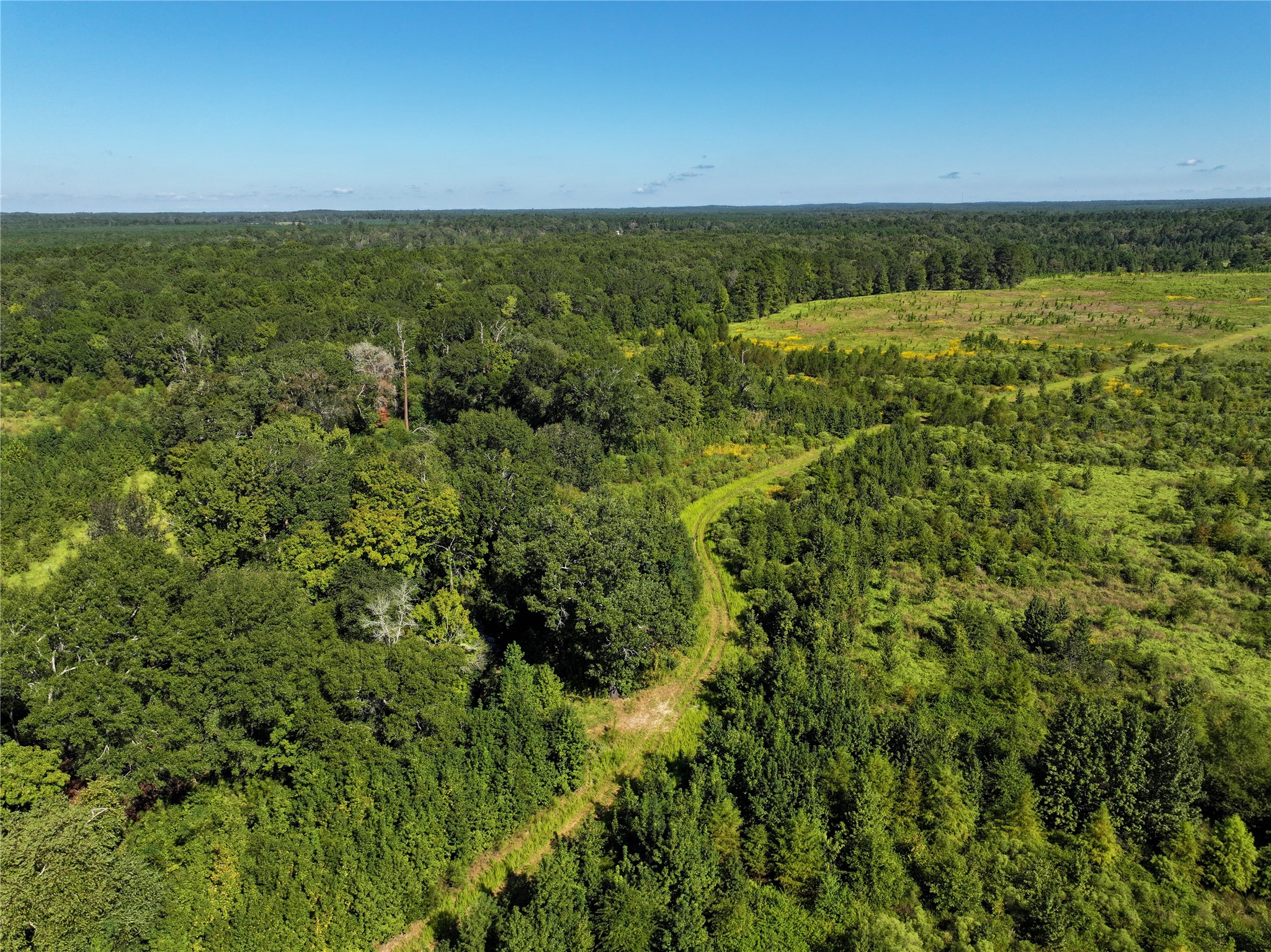 2792 Forest Hopson Road Zavalla, TX 75980 - Photo 22 of 31 an aerial view of residential houses with outdoor space and trees