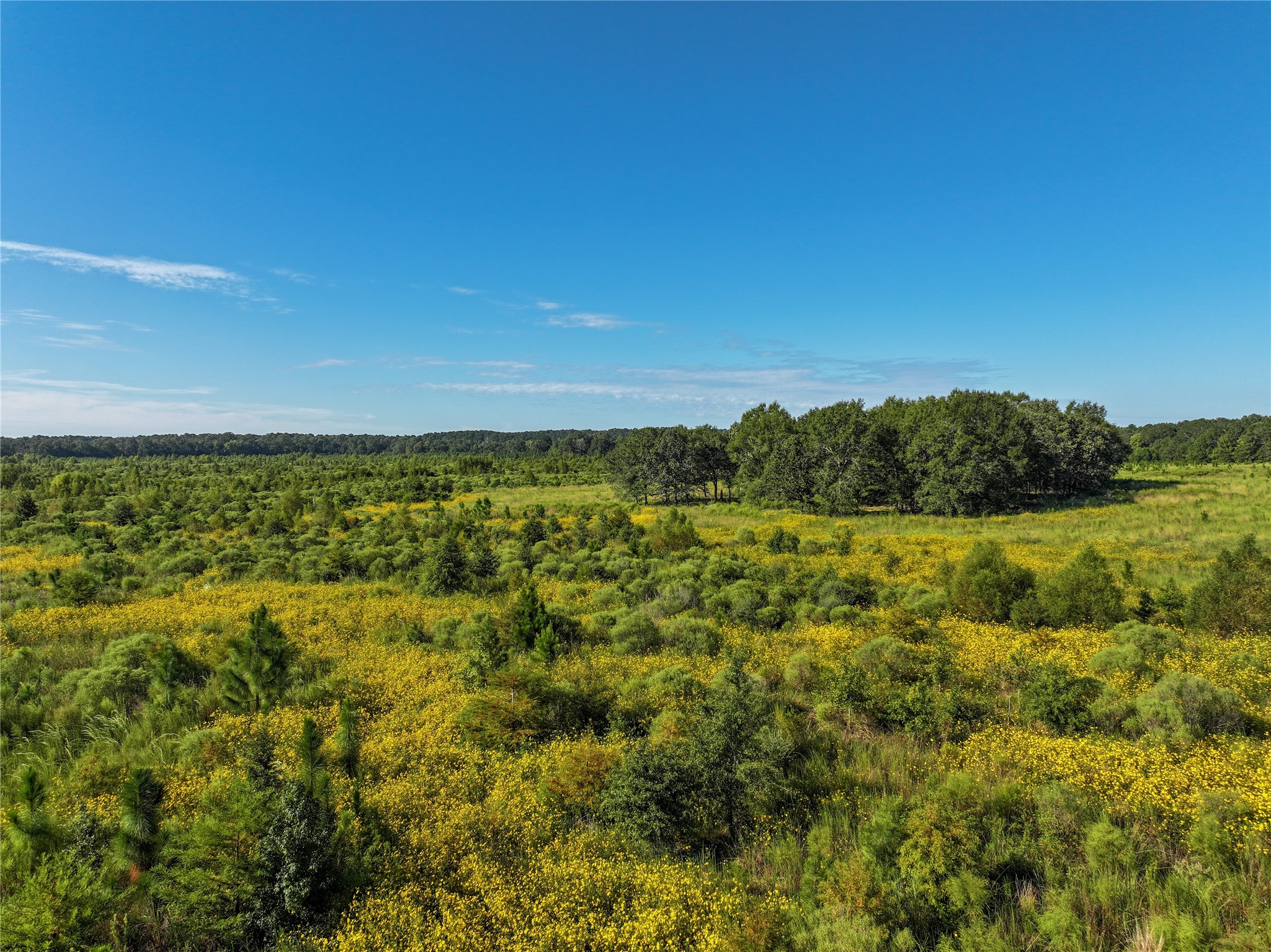 2792 Forest Hopson Road Zavalla, TX 75980 - Photo 24 of 31