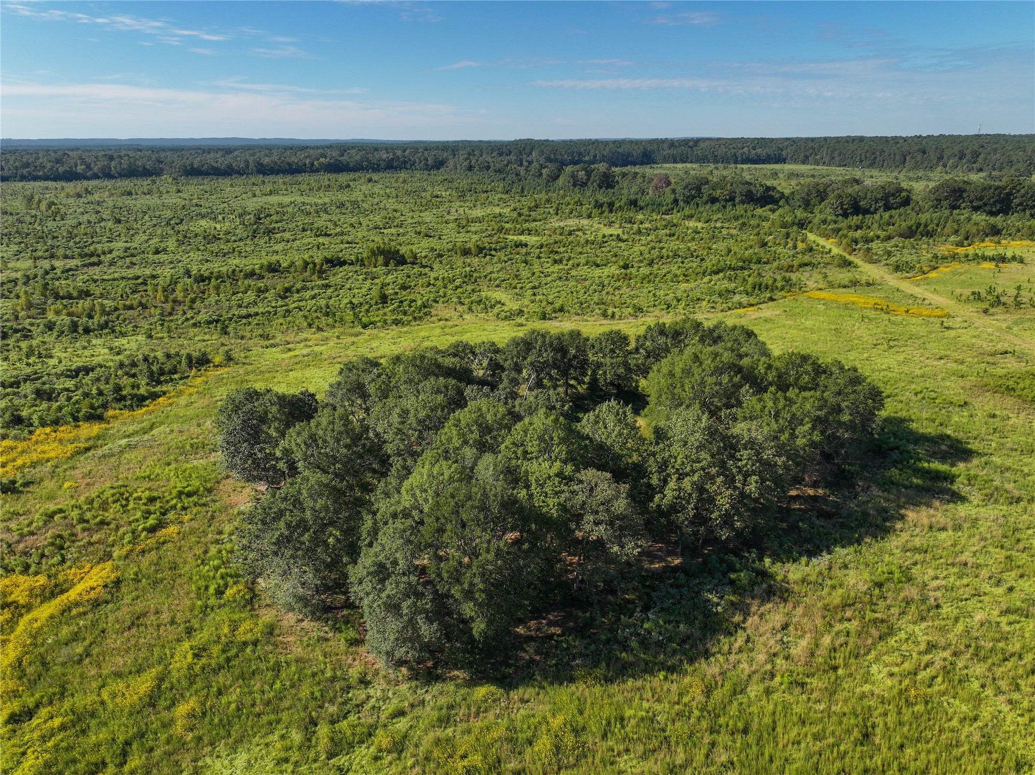2792 Forest Hopson Road Zavalla, TX 75980 - Photo 25 of 31 a view of a lake view