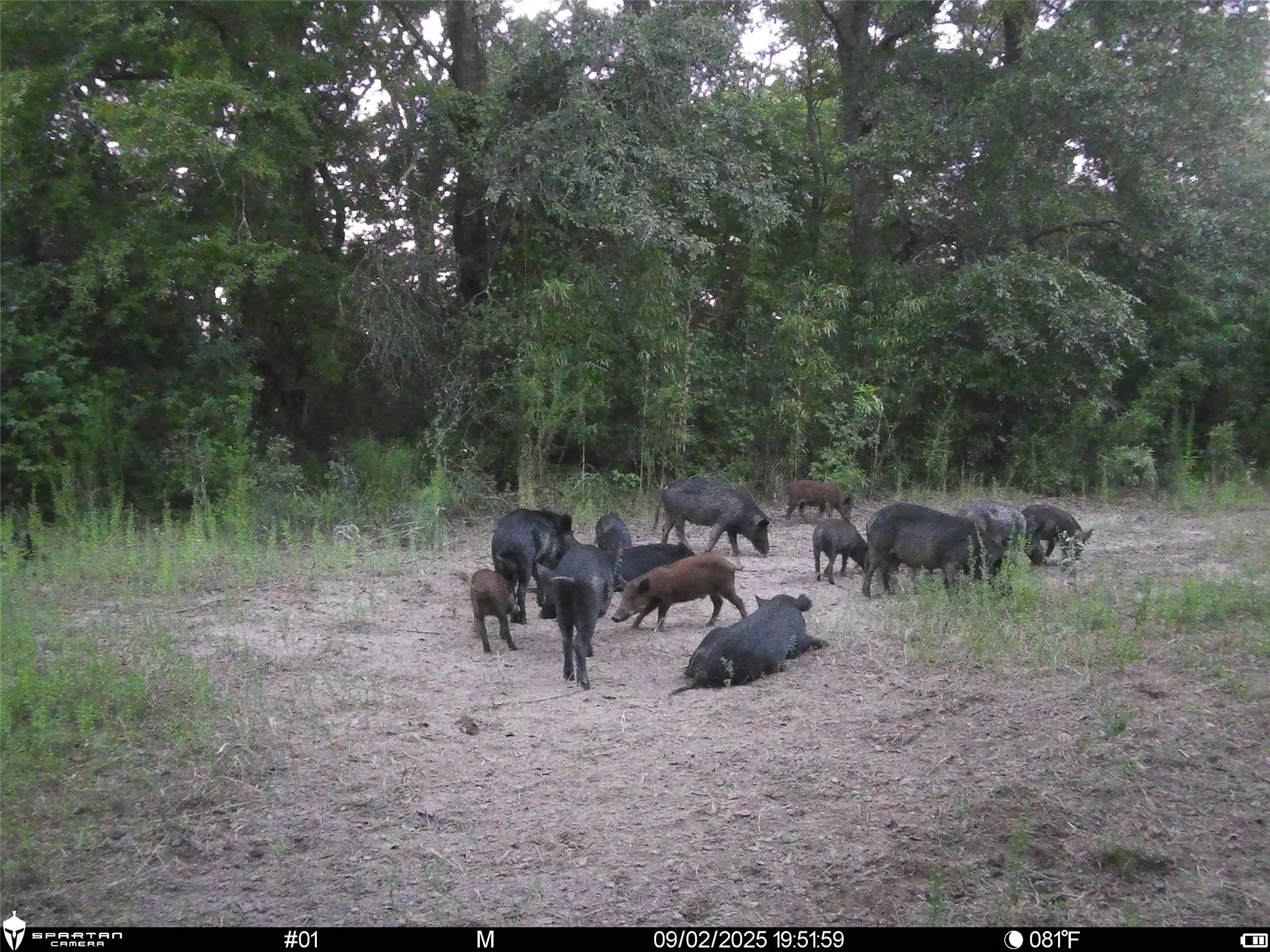 2792 Forest Hopson Road Zavalla, TX 75980 - Photo 27 of 31 a view of a lake with outdoor space