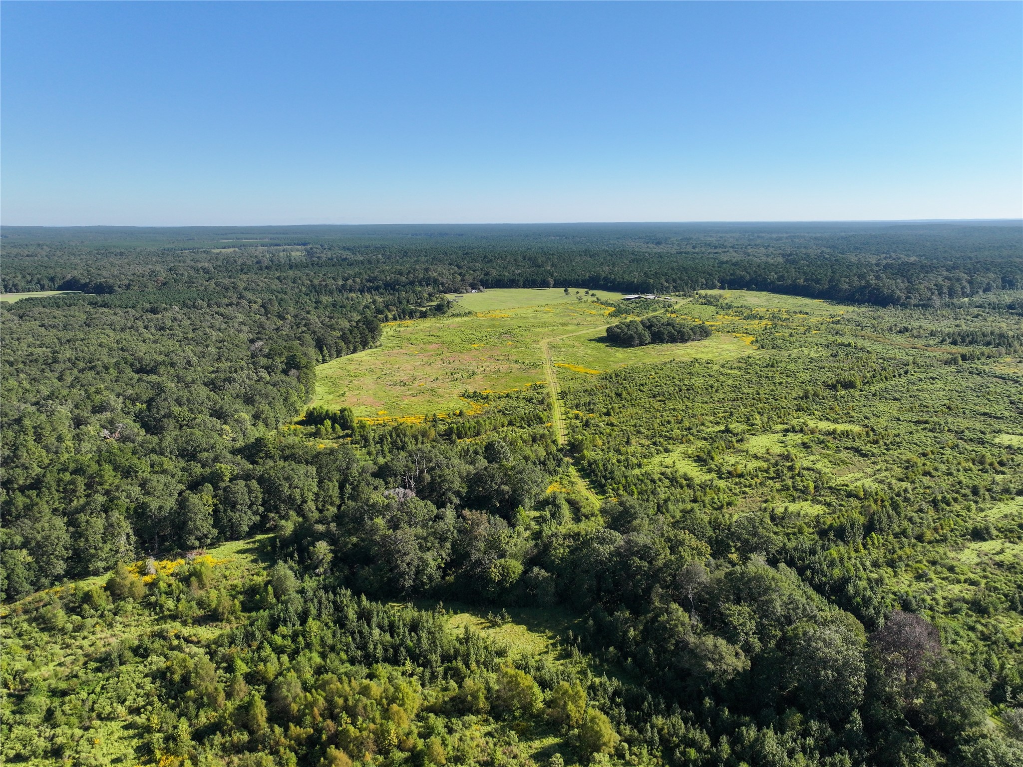 2792 Forest Hopson Road Zavalla, TX 75980 - Photo 4 of 31 an aerial view of a houses with a yard